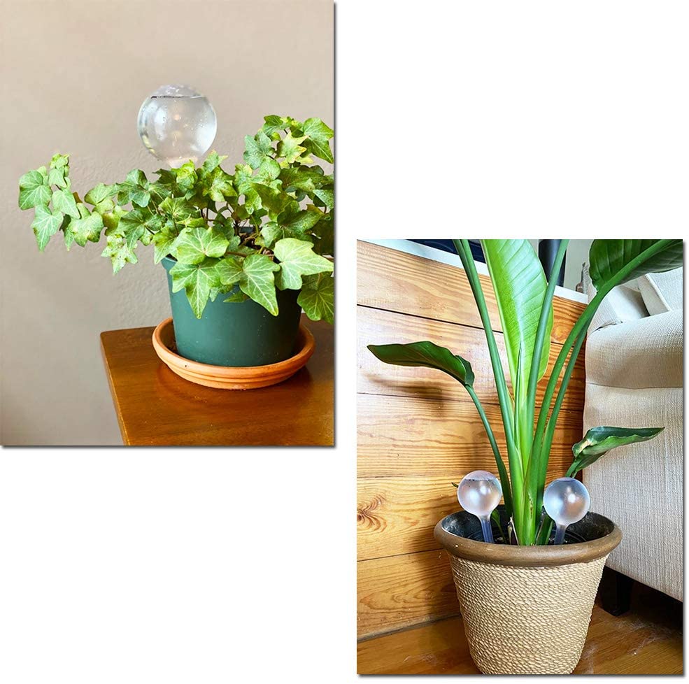 Alimentador automático de agua - Automatic Plant Waterer reseña y precio