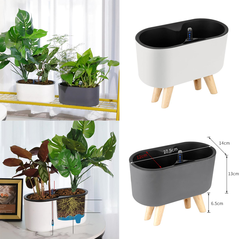 Planta de interior con indicad - Automatic Plant Waterer reseña y precio